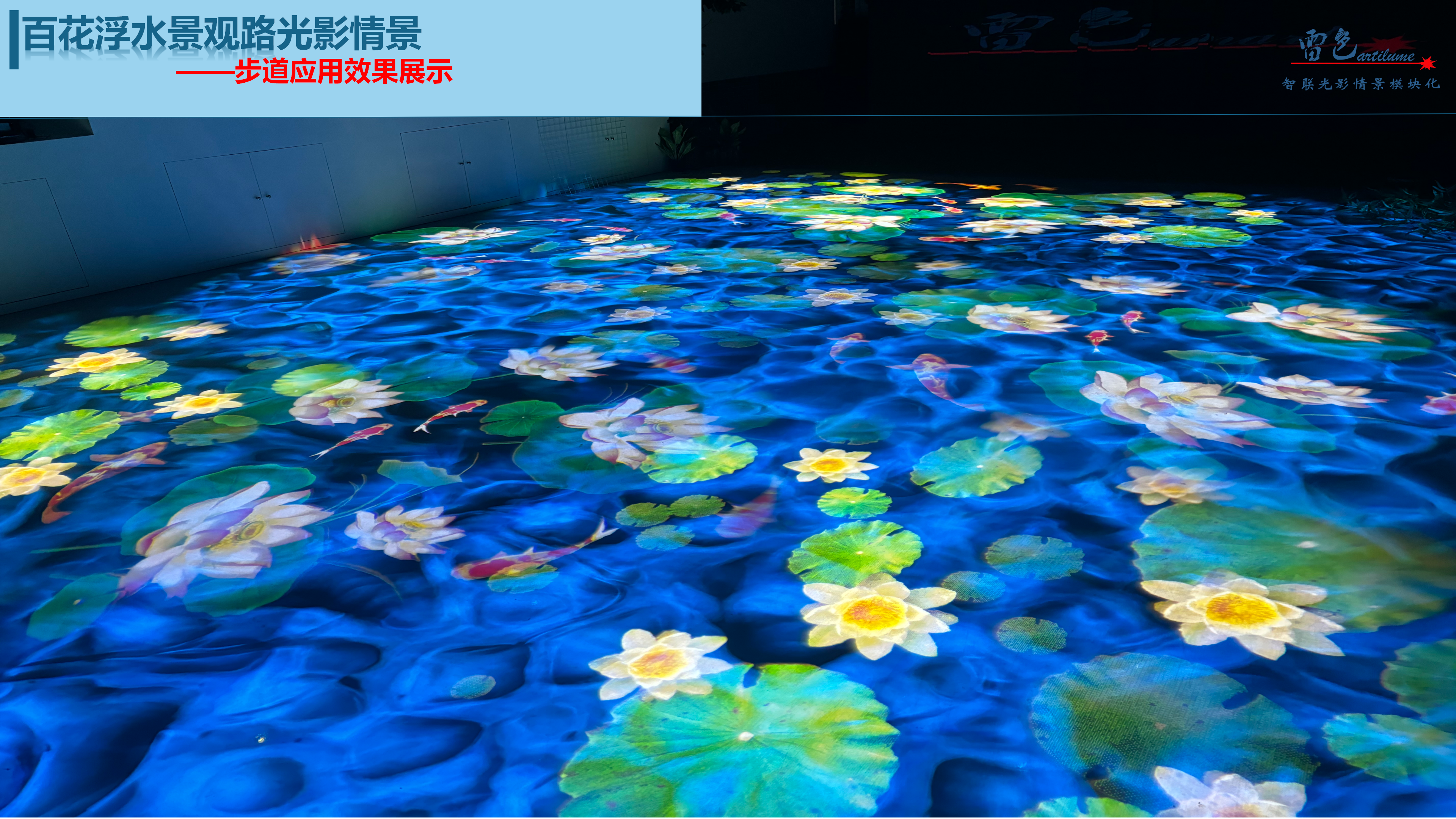 百花浮水景观路解决方案
